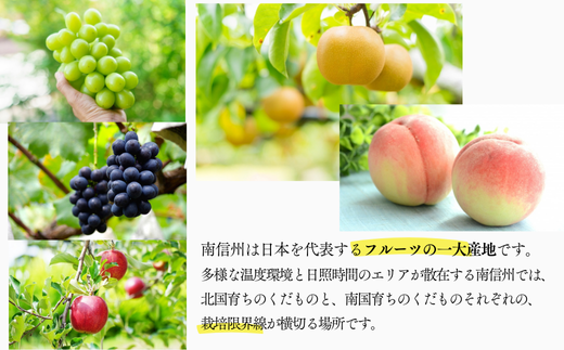 長野県松川町のふるさと納税 JA29-26A  【先行予約】 梨 南水 約2kg / 2026年9月中旬～10月中旬頃 配送予定 // 贈答 センサー選別 糖度センサー 梨 なし ナシ 果物 フルーツ ギフト 南水 太鼓判 優糖生