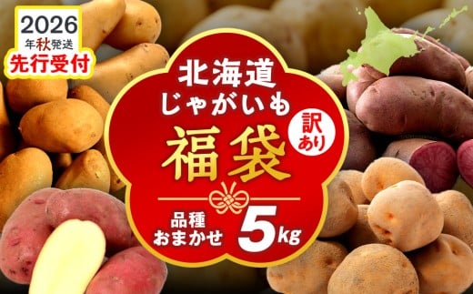  <2026年秋発送>【秋山農園】北海道産 じゃがいも 訳あり 5kg"お楽しみランダム"きたあかり メークイン ノーザンルビー レッドムーン 北海黄金