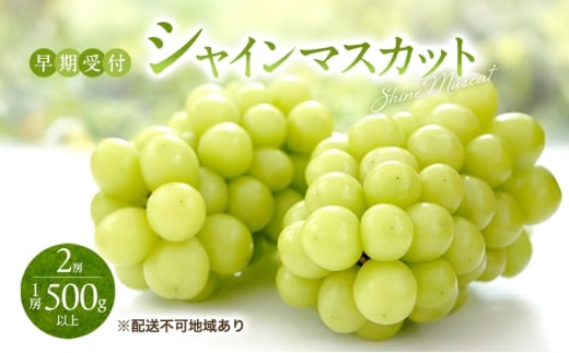 ぶどう 早期受付 シャイン マスカット 2房（1房500g以上） ブドウ 葡萄 岡山県産 国産 フルーツ 果物 ギフト 桃茂実苑 [№5735-3438]