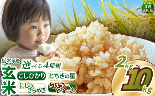 いちご農家さん応援米! 訳あり 令和7年度産 玄米 選べる 銘柄 容量 回数 約2kg~4kg こしひかり とちぎの星 にじのきらめき ミルキークイーン | 新米 真岡市産 訳あり 米 お米 こめ 玄米 ご飯 ごはん もちもち コシヒカリ にじきら みるきーくいーん 限定 ふるさと納税 先行 予約 定期便 栃木県 真岡市 送料無料