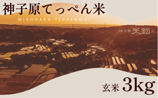 新米 こしひかり 玄米 3kg 神子原 てっぺん米 数量限定 令和7年産 こだわり もっちり 甘み 食味ランクS 最高評価 genmai gennmai ※ ご飯 ごはん R7 2025年産 おいしい 美味しい 神子原てっぺん米 神子原頂上米 石川県 石川 能登 羽咋 支援 応援 復興応援 復興支援 お米 米 おこめ こめ kome okome ふるさと納税米 