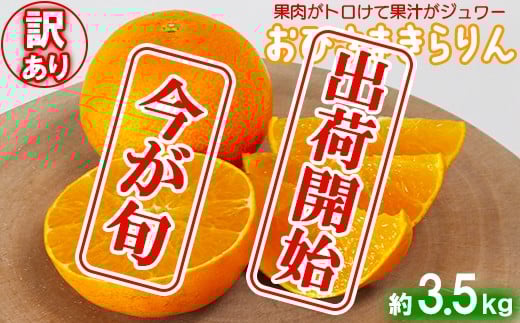 【訳あり・優品】今村農園の「おひさまきらりん 約3.5kg」 甘い オレンジ みかん ミカン 清美 12月発送 1月発送 先行予約 3.5kg わけあり 柑橘類 フルーツ <107-019_7>