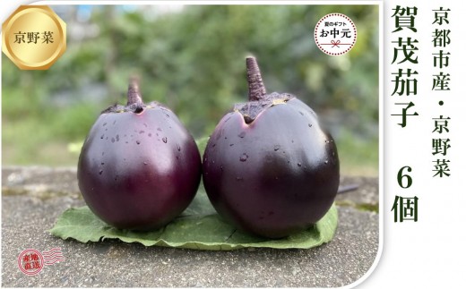 【先行予約・2026年7月発送】京ブランド野菜・賀茂茄子(かもなす) 6個 約1.5kg