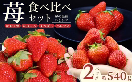 いちご 厳選いちご 2種類 食べ比べセット 1箱(270g×2) 2月発送 かおり野 紅ほっぺ よつぼし べにたま | いちご 苺 ストロベリー かおり野 紅ほっぺ よつぼし べにたま 季節限定 食べ比べ 果物 くだもの フルーツ 野菜 美味しい おいしい 甘み ほのかな酸味 デザート スイーツ ギフト 贈り物 ビタミン 埼玉県 久喜市 1535302 - 埼玉県久喜市