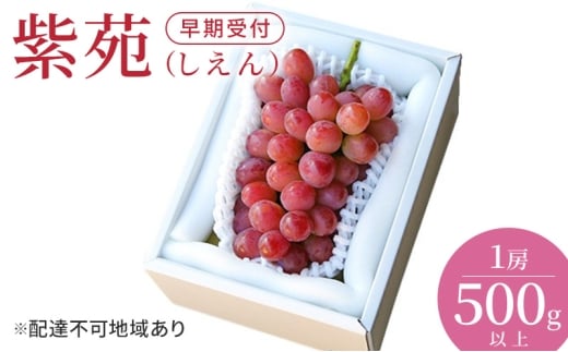 ぶどう 早期受付 紫苑 （しえん）1房（500g以上） ブドウ 葡萄 岡山県産 国産 フルーツ 果物 ギフト 桃茂実苑 [№5735-3440]