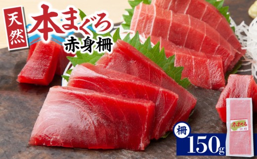 神奈川県漁連 天然本マグロ 赤身サク　M077-012-01