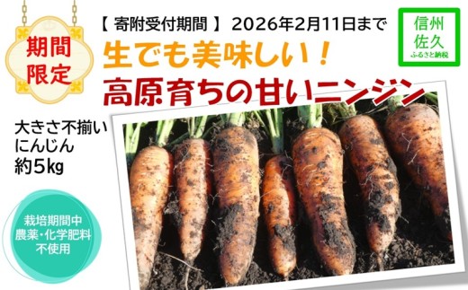 【期間限定】生でも美味しい！高原育ちの甘いニンジン約5kg（北海道・沖縄・離島配送不可）キャロット 人参 長野県 信州 佐久市 高原