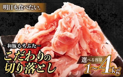 豚肉 切り落とし 和豚 もちぶた 小間切れ 選べる 容量 1kg 1.6kg 3kg 4kg ブランド豚 和豚もちぶた ブランド 美味しい豚 豚肉 肉 にく 肉料理 夕食 晩ごはん ポーク おかず 小分け 便利 肉の片山 新潟県 新発田市 katayama003P