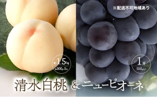 桃 ぶどう 2026年 先行予約 清水 白桃 5玉 約1.5kg 1玉約300g ニュー ピオーネ 1房 550g以上もも 葡萄 詰合せ 岡山 国産 フルーツ 果物 ギフト 桃茂実苑 [№5735-3426]