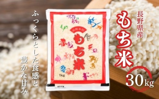 長野県産 もち米 30kg 令和7年産｜ 新米 白米 コメ お米 餅米 精米 赤飯 おこわ 千曲市 長野県 信州