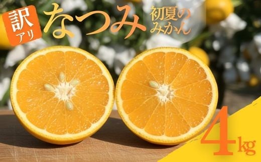 【数量限定】なつみ みかん 4kg 産地直送 果物 柑橘 かんきつ 温州 ミカン くだもの フルーツ 甘い 限定 高知県 室戸市 ふるさと納税