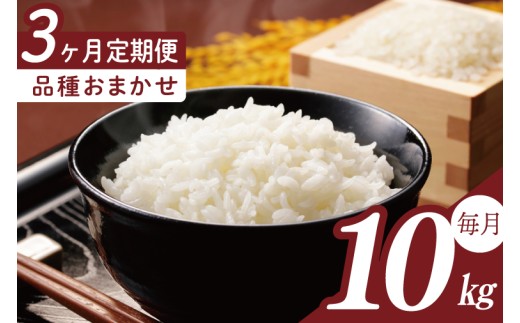 【2026年2月より順次発送】【3回定期便】R7年産米 品種おまかせ定期便 10kg｜米 お米 白米 精米 R7年産 令和7年産 こしひかり コシヒカリ ミルキークイーン にじのきらめき あきたこまち 定期便 おまかせ定期便 茨城県 茨城県産 行方市(HA-36) 2420580 - 茨城県行方市