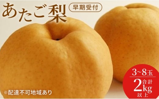 梨 早期受付 岡山 の あたご 梨 3～8玉 合計2kg以上 なし ナシ 岡山県産 国産 フルーツ 果物 ギフト桃茂実苑 [№5735-3434]