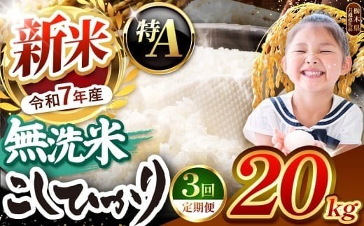 【令和7年度新米先行予約】栃木県産コシヒカリ 無洗米 20kg 定期便3回 【栃木県共通返礼品】| 定期便 お米 米 こめ 洗米 新米 無洗米 コシヒカリ こしひかり 美味しい お弁当 選べる ふるさと 納税 栃木県 矢板市 2223080 - 栃木県矢板市