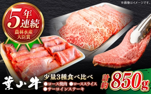 葉山牛 少量3種食べ比べセット(ロース・ローススライス・サーロインステーキ)／牛肉 肉 焼肉 神奈川県 葉山町【葉山牛ステーキレストラン 角車】 [ASBD019]