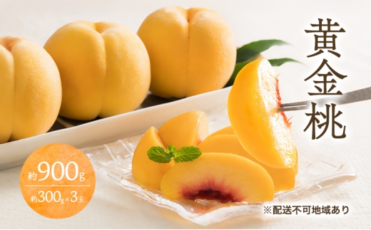 桃 2026年 先行予約 黄金桃 3玉 合計約900g （1玉約300g） もも モモ 岡山 国産 フルーツ 果物 ギフト 桃茂実苑 [№5735-3417]