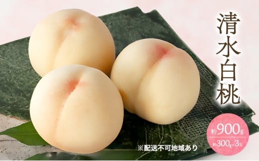 桃 2026年 先行予約 清水 白桃 3玉 合計約900g （1玉約300g） もも モモ 岡山 国産 フルーツ 果物 ギフト 桃茂実苑 [№5735-3422]