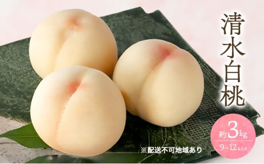 桃 2026年 先行予約 清水 白桃 3kg 9～12玉 もも モモ 岡山 国産 フルーツ 果物 ギフト 桃茂実苑 [№5735-3425]