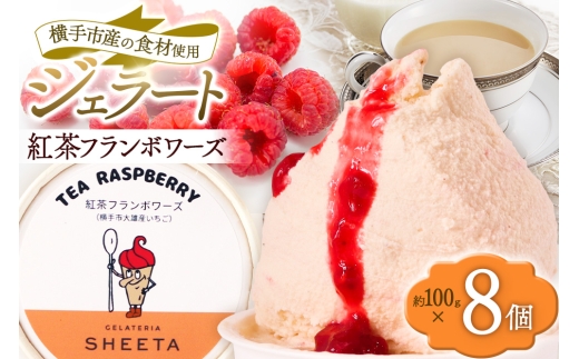 ジェラート 紅茶フランボワーズ 約100g×8個 1959618 - 秋田県横手市