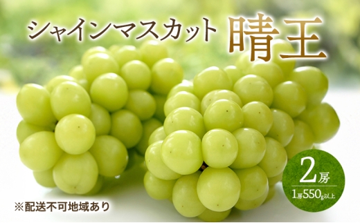 ぶどう 2026年 先行予約 シャイン マスカット 晴王  2房 （1房550g以上） マスカット ブドウ 葡萄  岡山県産 国産 フルーツ 果物 ギフト 桃茂実苑 [№5735-3415]