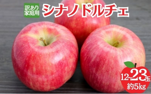 シナノドルチェ 訳あり家庭用 約5kg(12~23玉) りんご 果物 訳あり 信州 長野