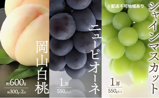 桃 ぶどう 2026年 先行予約 白桃 2玉 合計約600g （1玉約300g） シャインマスカット 晴王 ニューピオーネ 各1房 550g以上 もも 葡萄 詰合せ 岡山 国産 フルーツ 果物 ギフト 桃茂実苑 [№5735-3414]