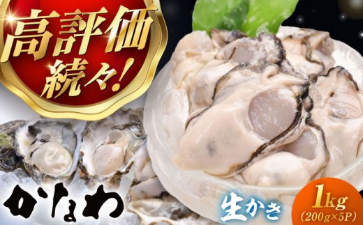 牡蠣 生食 むき身 殻付き かき カキ 生牡蠣 広島牡蠣 オイスター カキフライ 魚介類 貝類 海鮮 広島県産 国産 産地直送