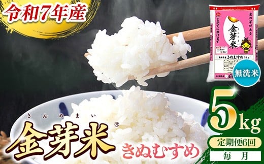 BG無洗米・金芽米きぬむすめ　5kg×6ヵ月　定期便　【毎月】