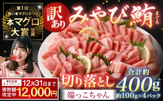 【訳あり】みやび鮪 切り落とし 端っこちゃん 計約400g