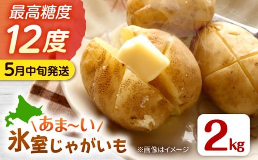 じゃがいも ジャガイモ 芋 メークイン 野菜