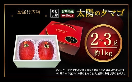 宮崎県のふるさと納税 ≪先行予約≫ 宮崎県産 完熟マンゴー「太陽のタマゴ」約1kg 計2～3玉 2026年発送 ブランド 南国 トロピカル フルーツ 果物 くだもの 化粧箱入り