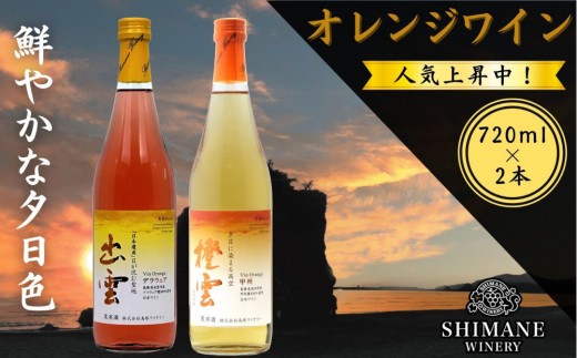 オレンジワイン2種セット