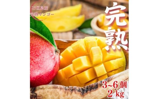 ＜先行予約＞ 石垣島産 完熟マンゴー 約2kg (3～6個入り) 化粧箱入り ＜2026年7月中旬以降発送＞ | 完熟マンゴー 産地直送 沖縄 石垣 フルーツ マンゴー アップルマンゴー 完熟マンゴー SI-056