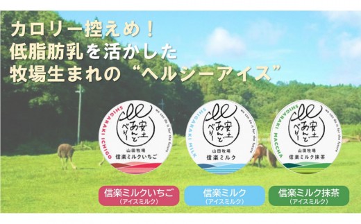 アイスクリーム詰め合わせ6個入り 山田牧場の低脂肪牛乳を使ったカップアイス（プレーン、ストロベリー、抹茶）