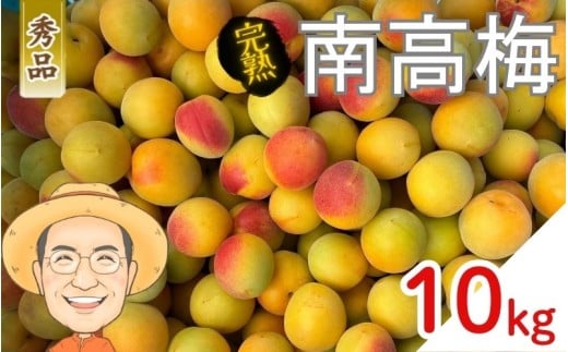 【秀品】完熟 南高梅 約10kg (+保証100g) 2L以上 カキエモン農園 【2026年6月中旬~6月下旬頃順次発送】 和歌山産 梅干し 梅酒 梅シロップ 果実 うめ 梅 ウメ カキエモン 農園 送料無料 なんこううめ なんこうばい なんこう梅 加工用 家庭用 紀州【BX-kkem017】