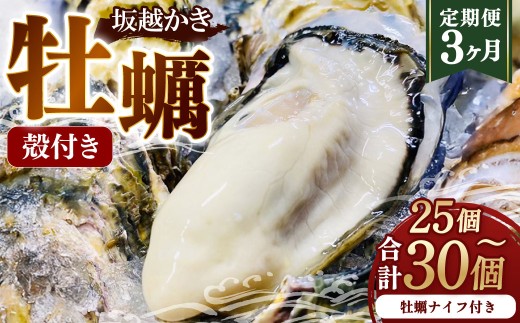【3回定期便】 牡蠣 坂越かき 殻付き 25個～30個 （牡蠣ナイフ付き） かき カキ 貝 【2025年12月上旬～2026年2月下旬発送予定】