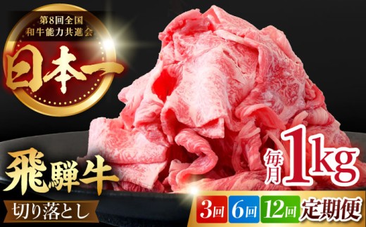 【選べる定期便回数】【 飛騨牛 】 切り落とし 総計 1～12kg 〈 1回あたり 〉1kg ( 250g × 4 )  肉 飛騨牛 和牛 ブランド牛 高級 国産牛 黒毛和牛 ビーフ 牛 牛肉 きりおとし 切り落とし 切り落し / 多治見市 / 肉のひぐち [TDC014]