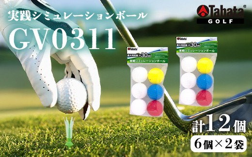 タバタ Tabata ソフトボール[GV0311]　2個セット ゴルフ ゴルフ用品 練習用ボール 実践シミュレーションボール スポーツ 茨城県 送料無料  5000円 五千円【テンポイント（株）】 【ho1630】