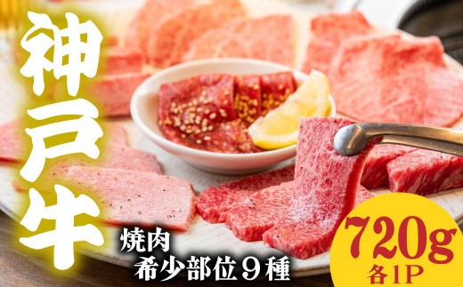 神戸牛 希少部位食べ比べ9種 720g マルシン ヒウチ 亀の甲 バラ 三角バラ サーロイン イチボ ラムシン 内モモ 各１パック 2307894 - 兵庫県多可町