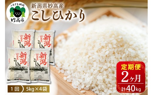【毎月定期便】令和７年産新潟県妙高産コシヒカリ20kg×2回（計40kg）