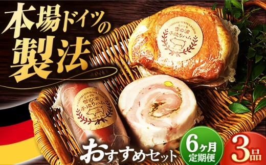 【3点×6回定期便】ハム 人気 店主おすすめ3品 / 長与町 / 雪の浦手造りハム [EAM033] ロースハム 無添加ハム 詰合せ 金賞 国産 定期便