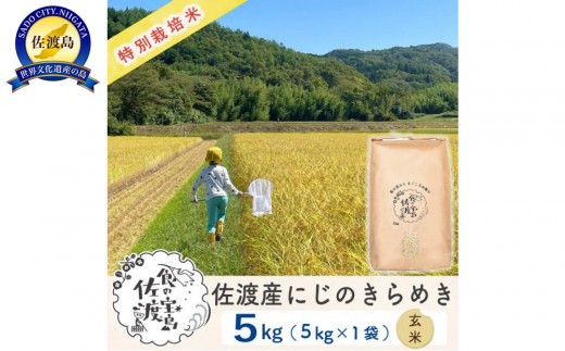佐渡島産にじのきらめき 玄米5Kg 令和7年 特別栽培米 農家直送