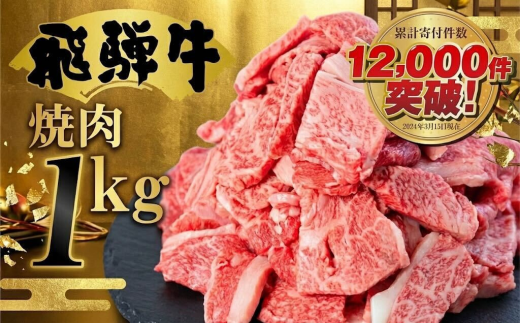 【12/14までの寄附で年内発送】牛肉 訳あり 飛騨牛 焼肉用 切り落とし肉 1kg 25000円 訳アリ 焼き肉用 切り落とし 切落し 牛肉 肉 バーベキュー BBQ セット 和牛 焼肉 部位おまかせ ごちそう 贅沢飛騨牛  JA ひだ 大容量 人気 おすすめ アウトドア  国産 冷凍  駆け込み前の お申込なら すぐ届く すぐ届きやすい [S201] 年内 年内配送