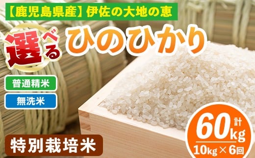 isa517 【定期便6回】 選べる精米方法!令和7年産 鹿児島県伊佐産 特別栽培ひのひかり(計60kg・10kg×6ヵ月) 国産 白米 精米 無洗米 伊佐米 お米 米 生産者 ひのひかり 定期便 【Farm-K】