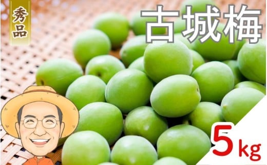 【秀品】古城梅 約5kg (＋保証100g) L～Mサイズ カキエモン農園 【2026年5月下旬～6月中旬頃順次発送】 和歌山産 梅干し 梅酒 梅シロップ 果実 うめ 梅 ウメ カキエモン 農園 送料無料 なんこううめ なんこうばい なんこう梅 加工用 家庭用 紀州【BX-kkem022】 2422193 - 和歌山県かつらぎ町