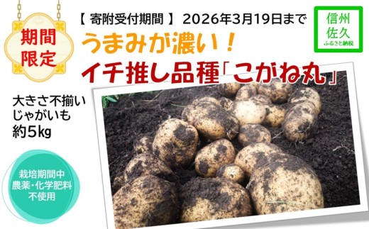 【期間限定】ジャガイモ約5kg（北海道・沖縄県・離島配送不可）旨味が濃い！農園いち推しの品種「こがね丸」 長野県 信州 佐久市 高原