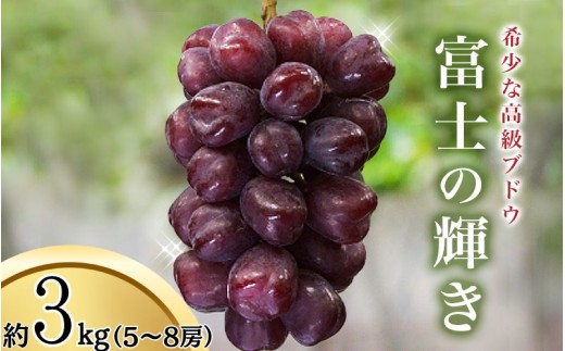 ＜早いもの勝ち !＞【先行予約】富士の輝き 3kg 5～8房※2026年9月頃発送予定 / ブラックシャイン ブラックシャインマスカットシャイン 富士の輝 葡萄 ブドウ  田辺市 和歌山県【kkb005-2】 2421128 - 和歌山県田辺市