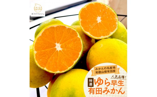 ［先行予約・2026年10月～発送］特選 ゆら早生有田みかん 2kg［サイズ混合］［MS134］