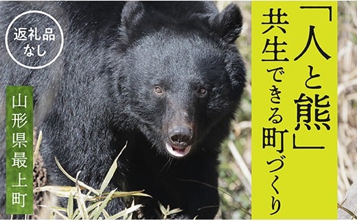 【お礼品の提供なし】熊との共生を目指して～熊による人的被害の防止対策・環境整備へのご支援を～ 2418490 - 山形県最上町