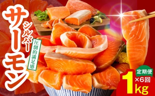 サーモン 定期便 1kg×全6回【ポーション 訳あり サイズ不揃い 刺身 海鮮丼 さーもん サラダ カルパッチョ 鮭 さけ シャケ しゃけ 人気 小分け 冷凍 家計応援】